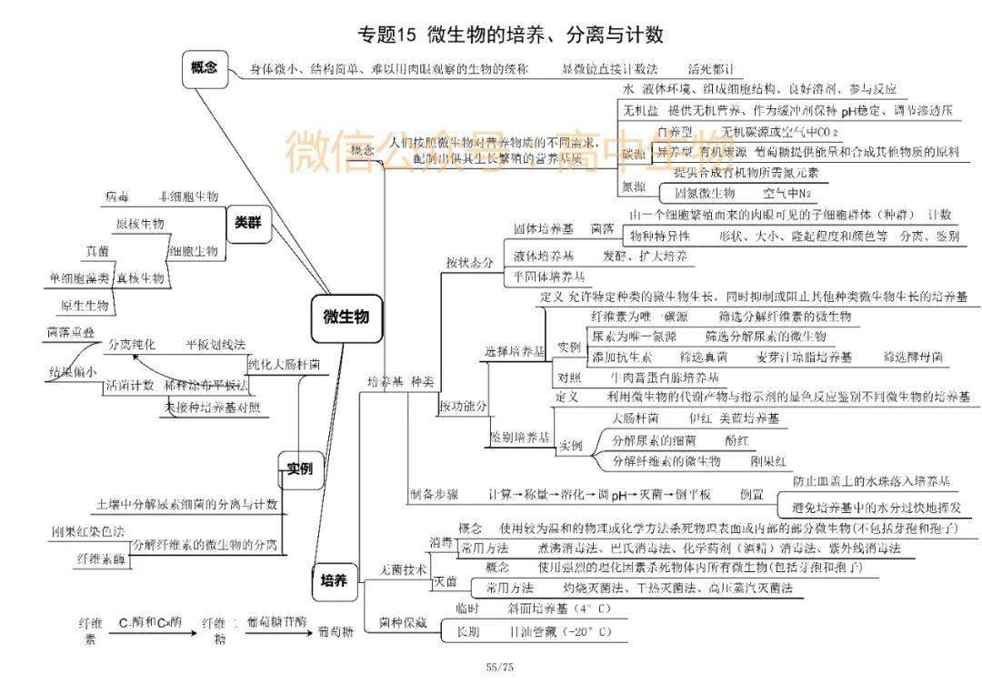 高考生物选修一选修三知识框架汇总