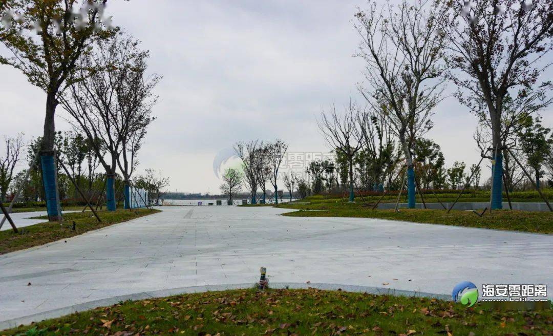 海安上湖新区,八星湖生态区有多美?走,现在就带你去看!_休闲