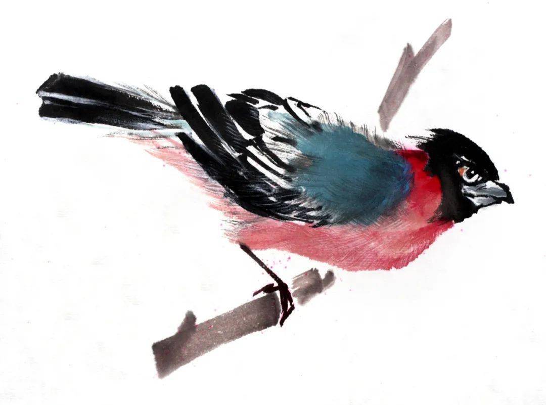 写意禽鸟的局部画法赶紧收藏绝佳素材