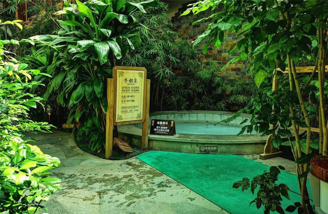 抢购价仅88元南宫民族温泉养生园成人门票平日周末通用