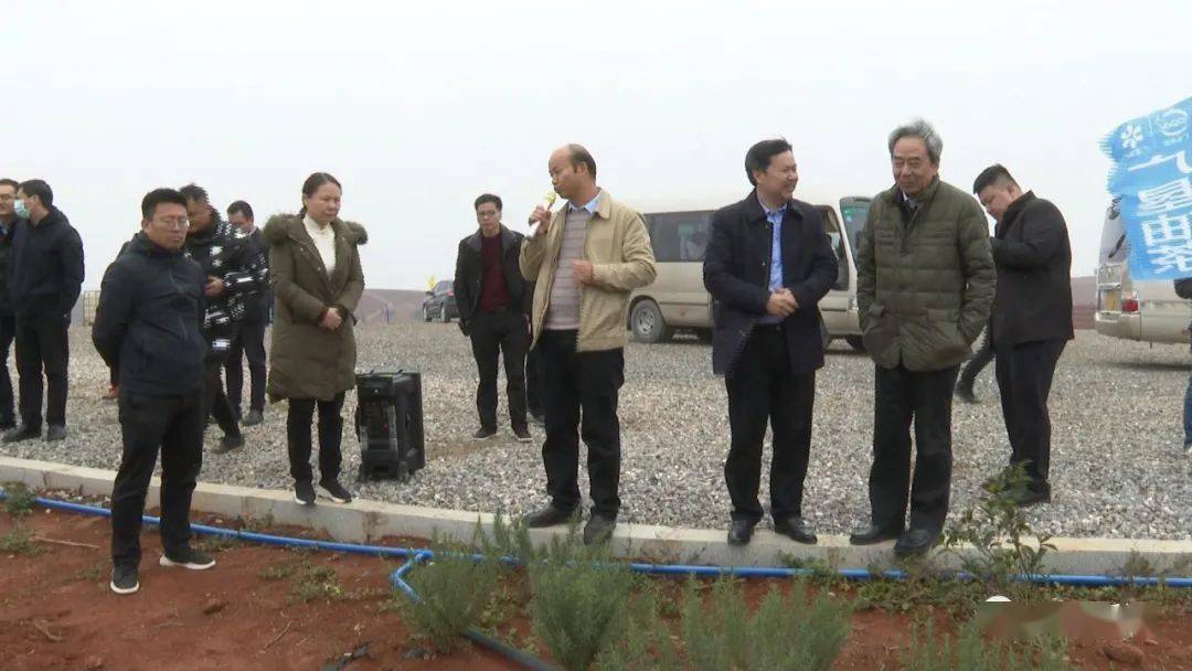 参观油茶产业基地 交流分享共谋发展