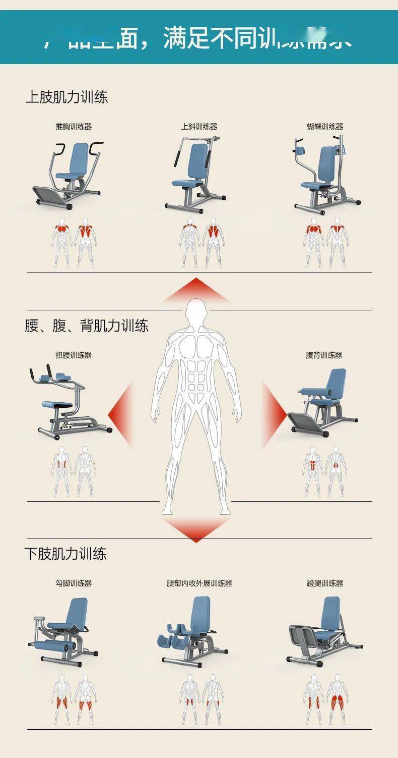 舒华56等速肌力训练系列:专为老年人打造的肌肉力量训练器