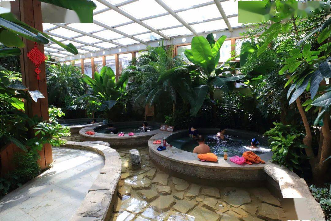 抢购价仅88元南宫民族温泉养生园成人门票平日周末通用