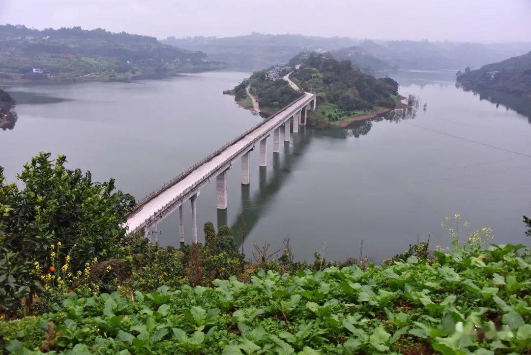 珍溪镇第五届脐橙采摘节来啦约起