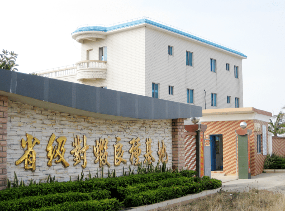 广东省首批优质对虾良种场之一湛江东方实业省级对虾良种场