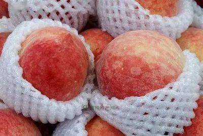 陪你看世界12月3日羚鲜一族羊奶粉带您领略嵊州的美