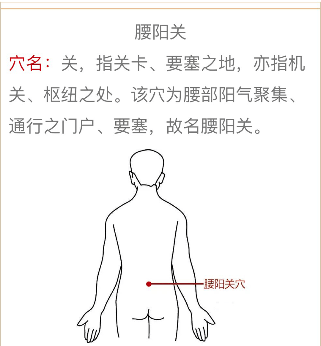 人体腰部示意图图解图片