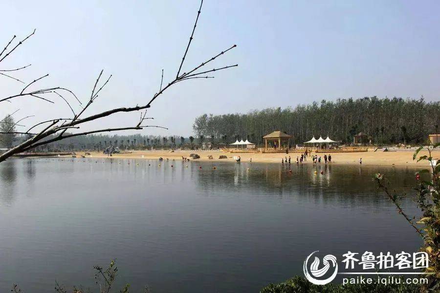 菏泽市东明县焦园乡曹县八里湾风景区走进曹县八里湾风景区迷人的初冬