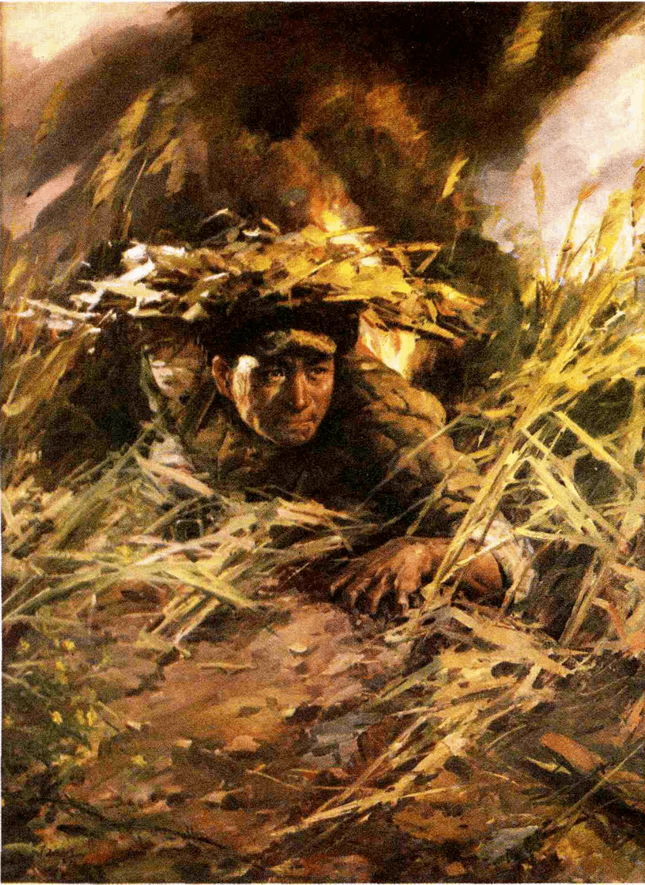 这是我们的课本里面藏着我们共同的回忆