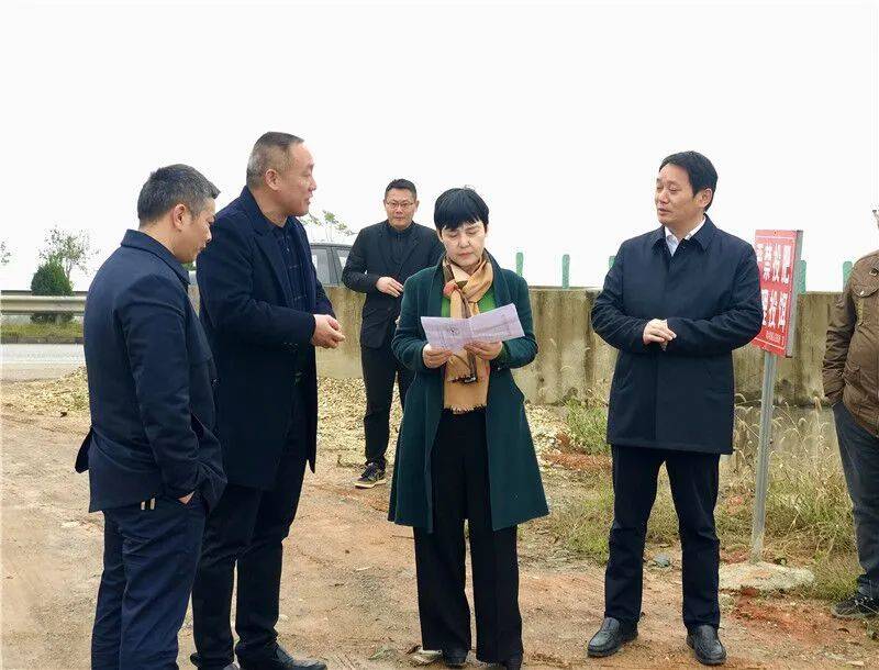 县委常委,常务副县长吴光文参加