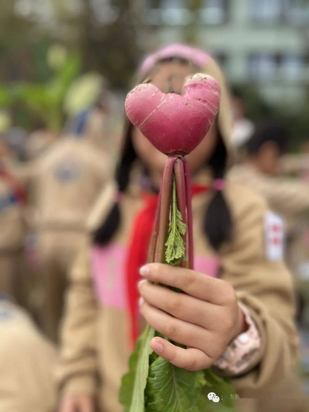 爱心义卖丨超乎想象的校园萝卜展销会