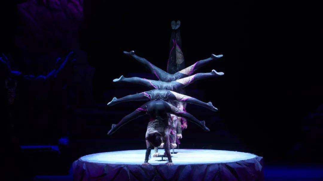 中国杂技剧天鹅湖不仅仅是经典的肩上芭蕾