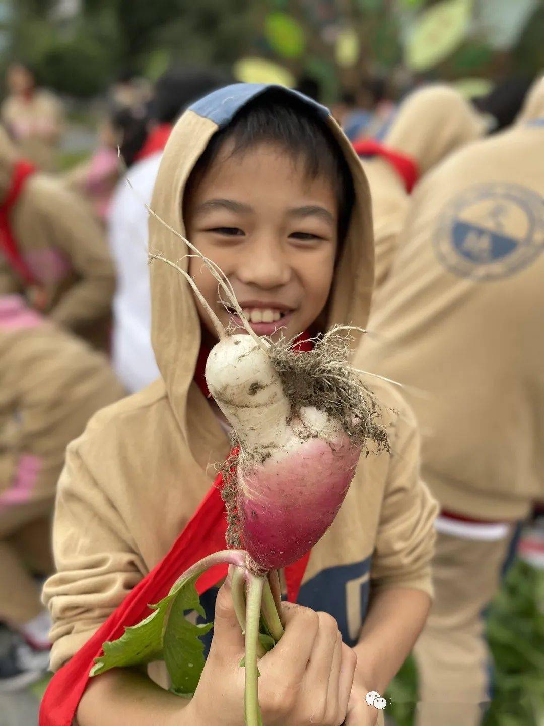 爱心义卖丨超乎想象的校园萝卜展销会