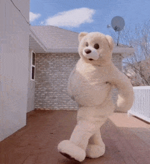 小熊跳舞动图表情包