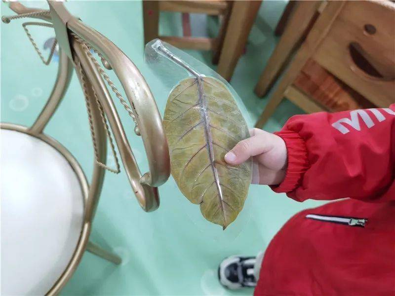 树叶收集站的故事