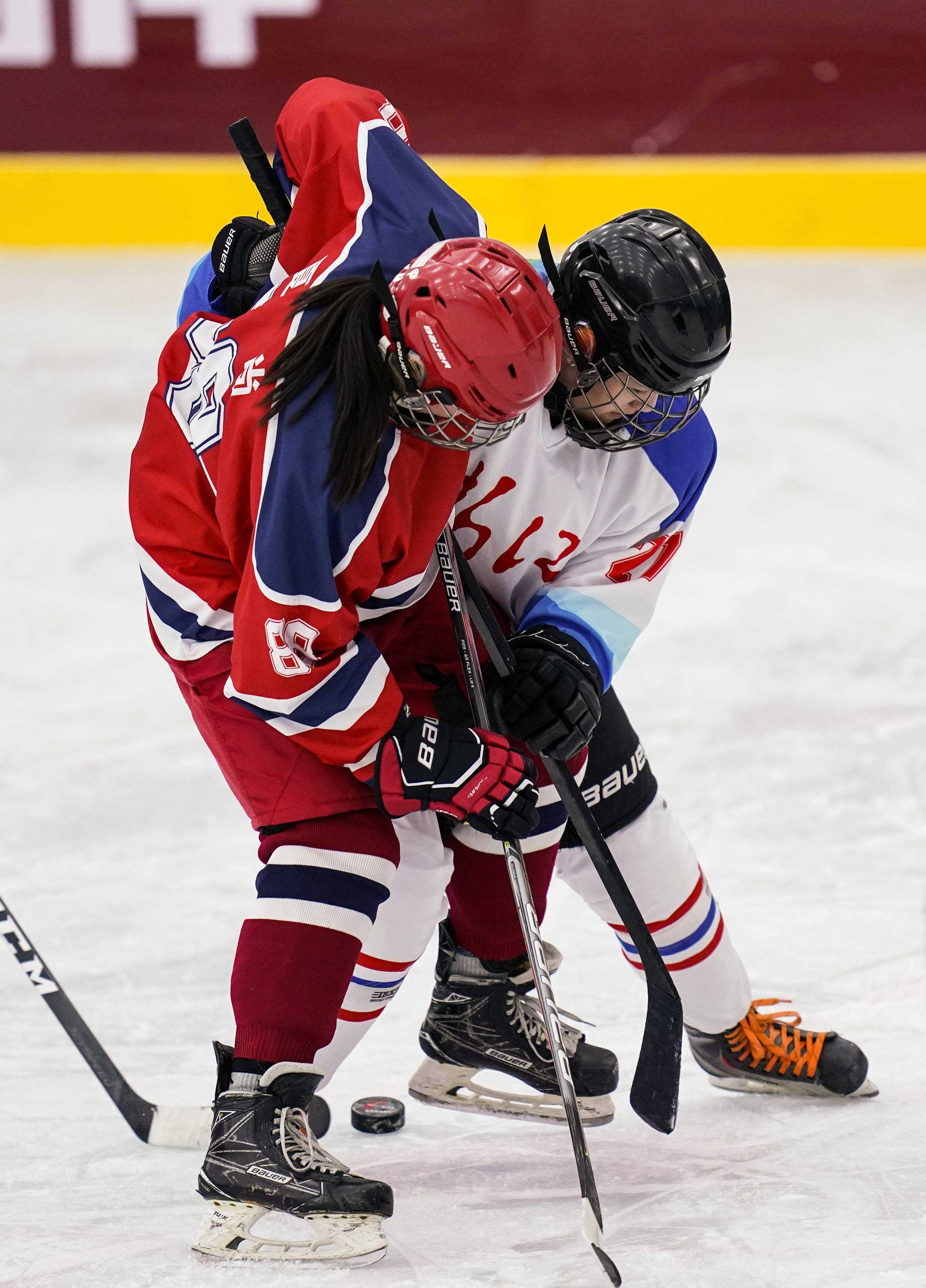 冰球——全国锦标赛女子小组赛:河北队胜浙江队