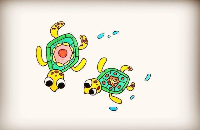 简笔画宁陕县图书馆教你画海龟