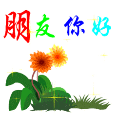 聊天不用打字的图片,朋友你好,很高兴认识你,太美了,谢谢你!