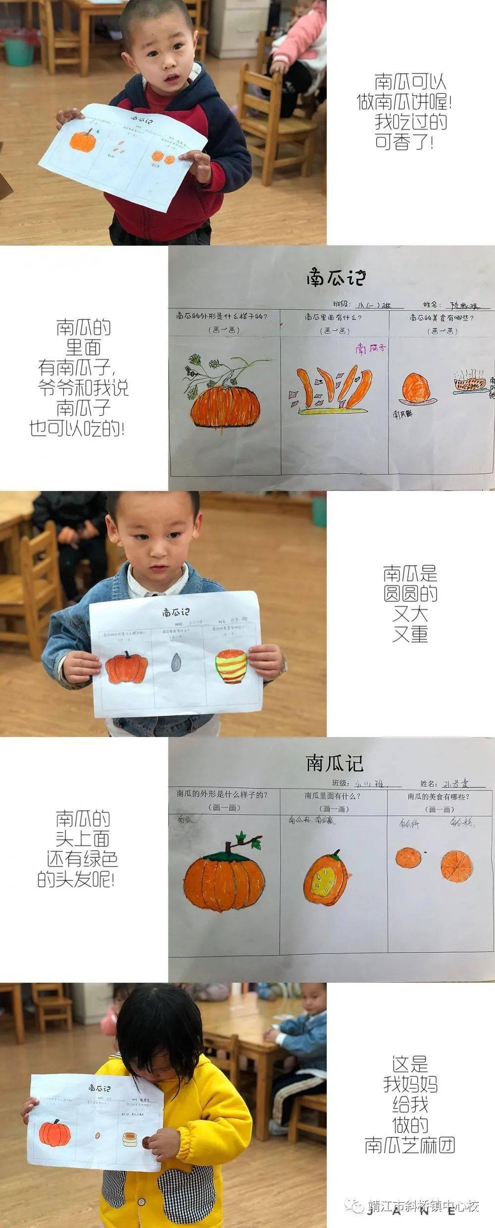 新世纪幼儿园学习故事南瓜记