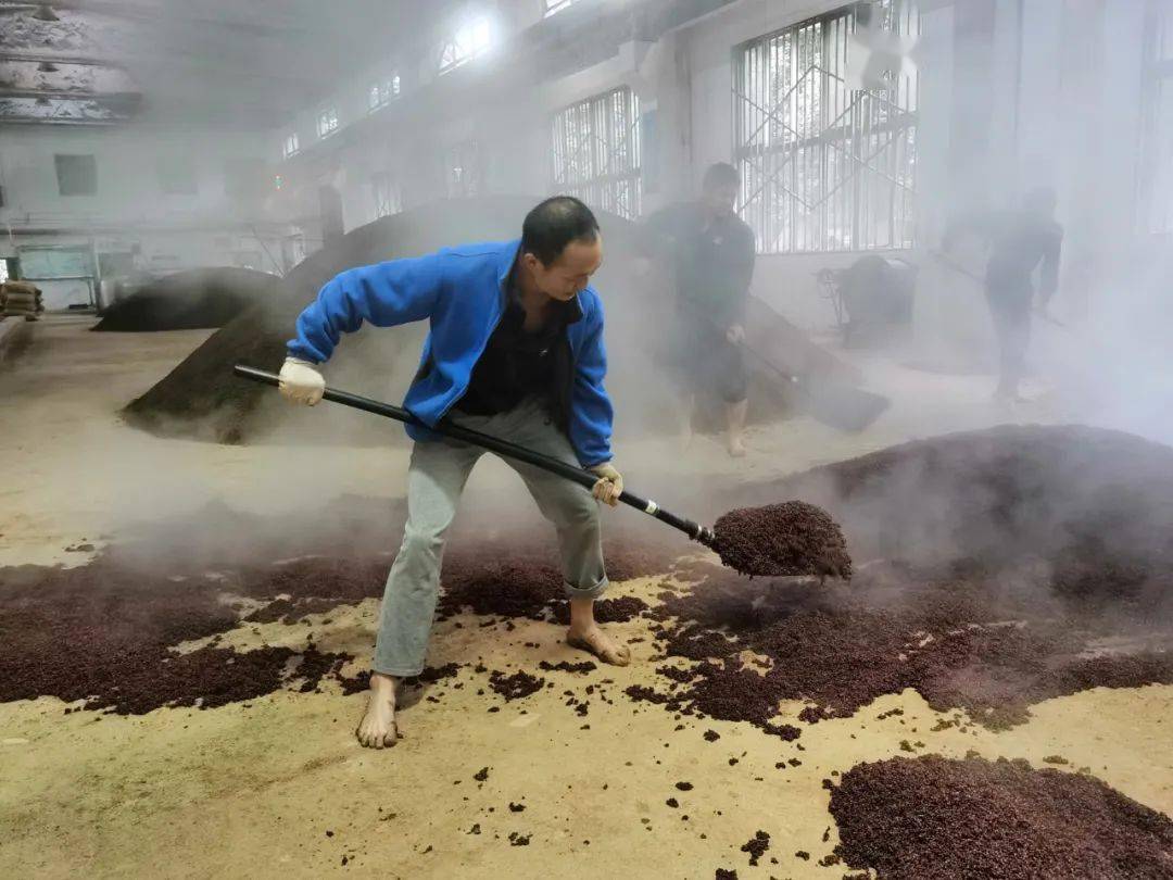 其实在最近的造沙轮次生产中,茅台制酒十五车间部分