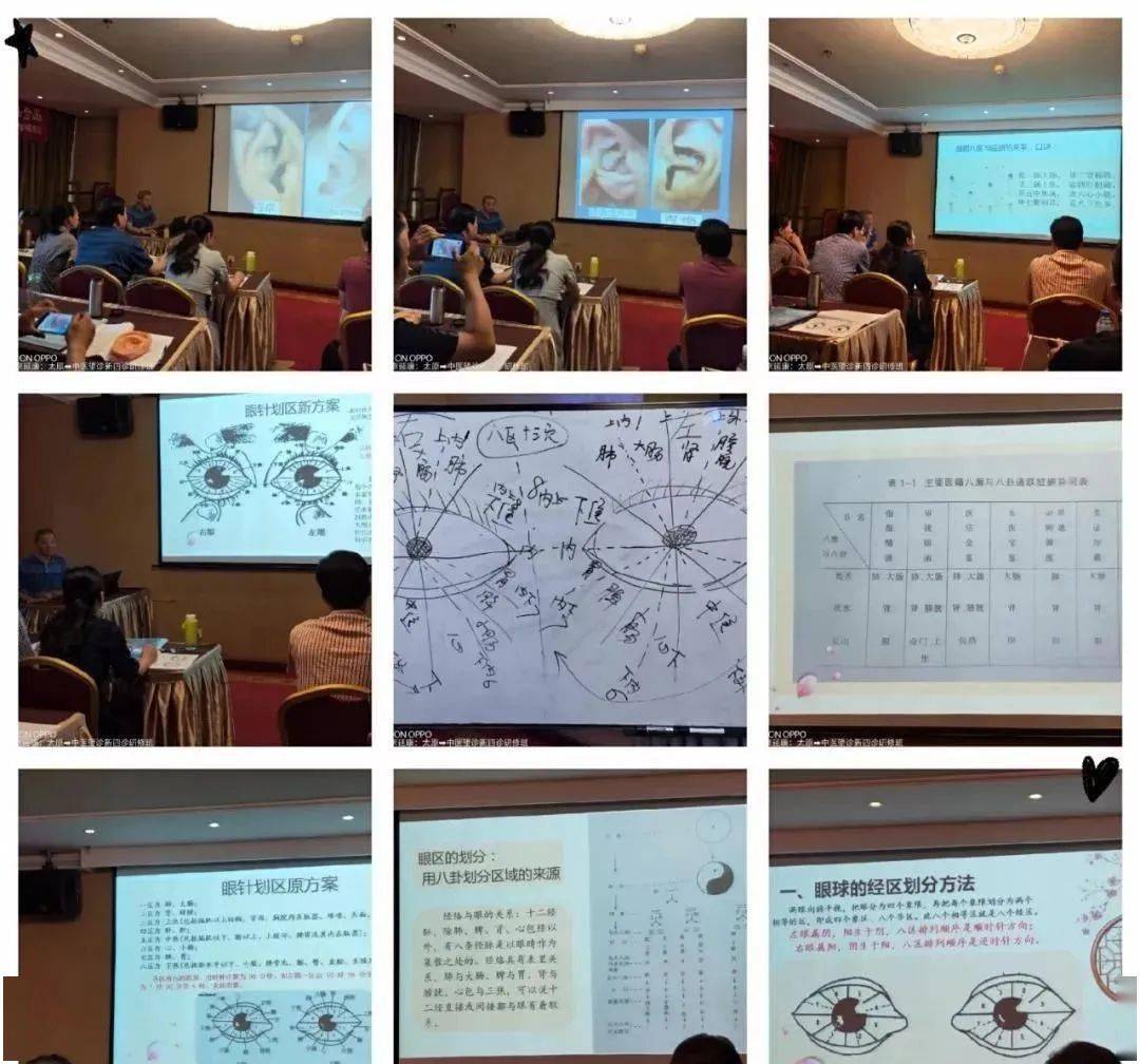 【12月20日—长沙】新中医望诊特色诊疗暨新四诊(手诊面诊眼诊耳诊)精修班-搜狐大视野-搜狐新闻
