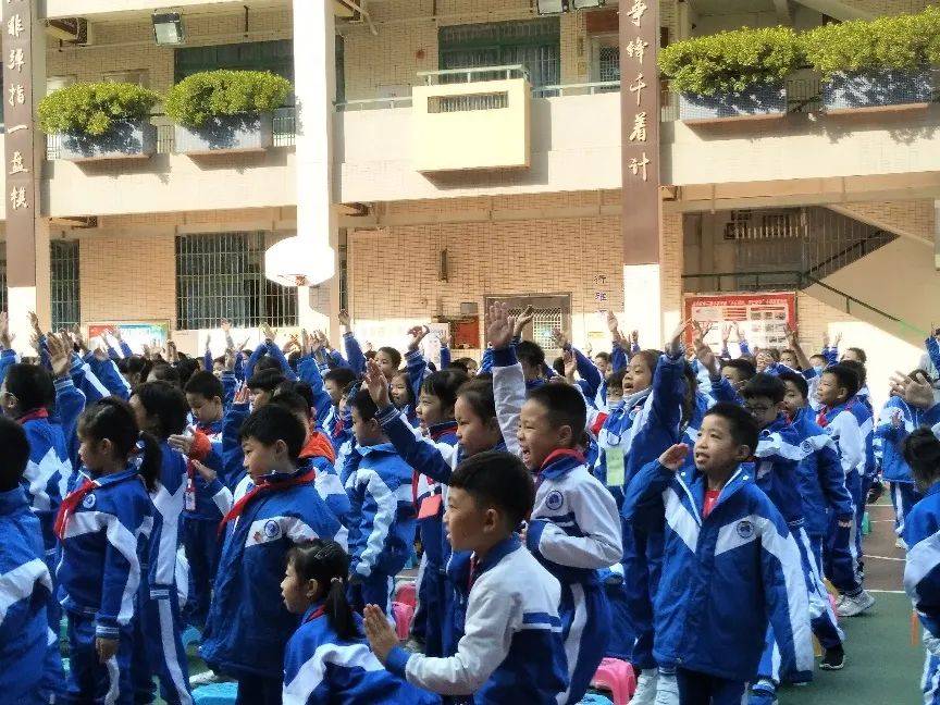 一起来学法!金兰苑小学用这样的方式打开"国家宪法日"