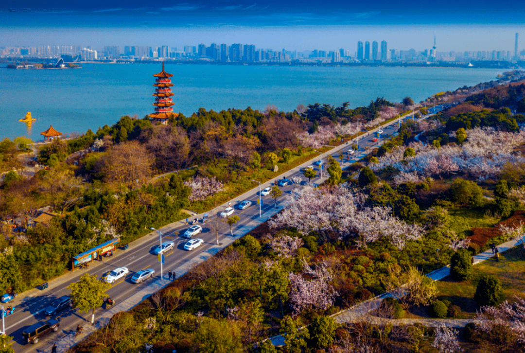 徐州城市封面湖居的基因究竟是什么?这个项目以爆红实力告诉你!