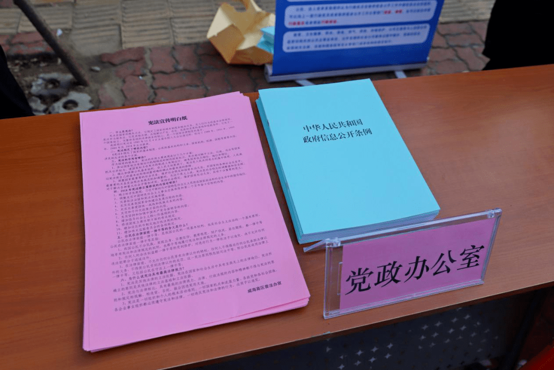 2024年幼升小信息采集樣表_幼升小信息采集之后干什么_幼升小采集信息表是什么