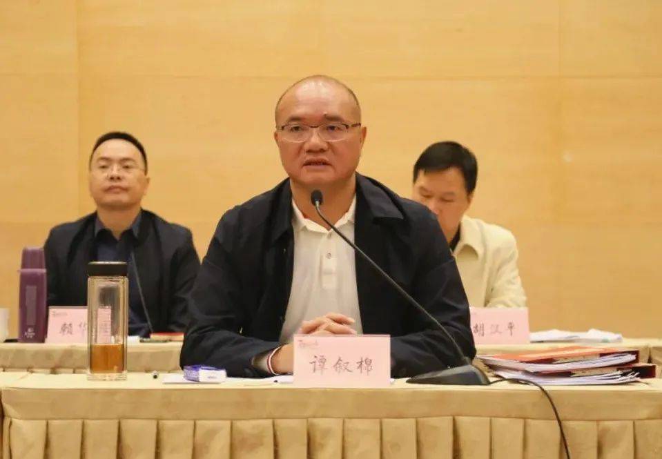 镇党委书记谭叙棉等镇领导班子成员参加会议,镇党委副书记,镇长何俊聪