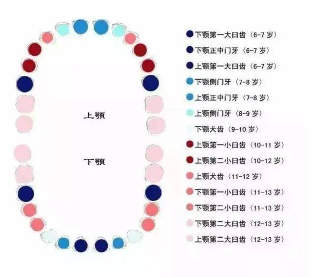 孩子换牙时的首颗六龄牙很关键,一定要注意!