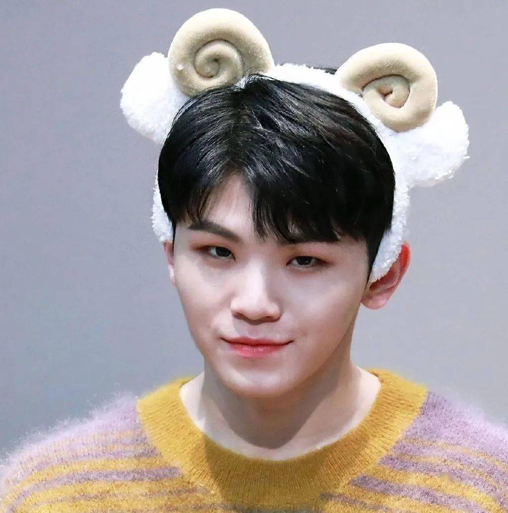 微信头像seventeen李知勋