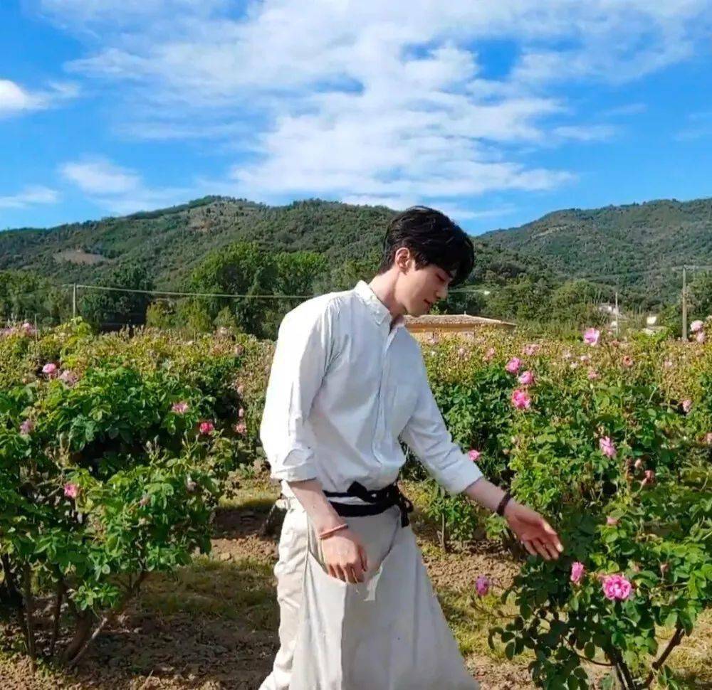 微信头像李栋旭