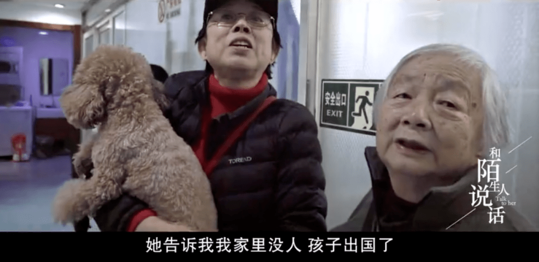 史上最"毒"铲屎官,怼哭所有人,人们却都抢着为他点赞!_老尹