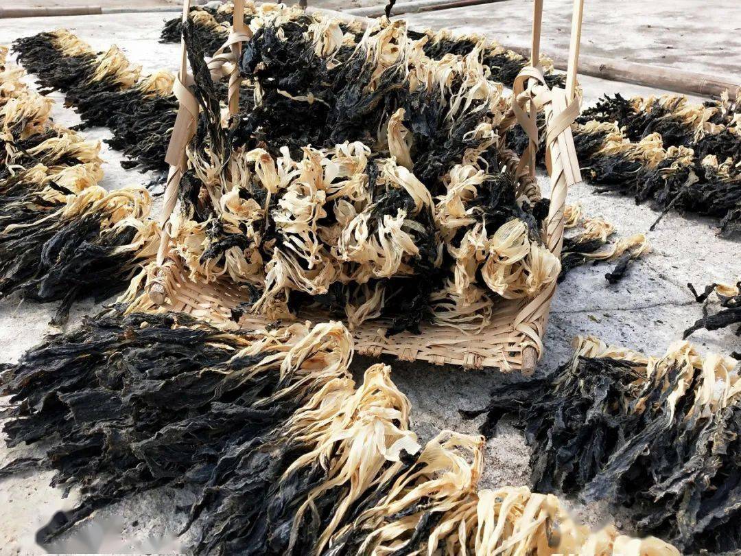 台山白菜干上市啦!从"农家闺秀"变"爱心手礼"