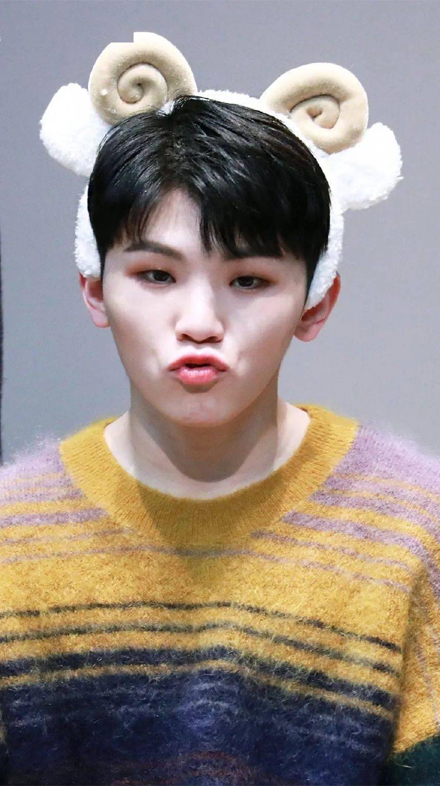 手机壁纸seventeen李知勋