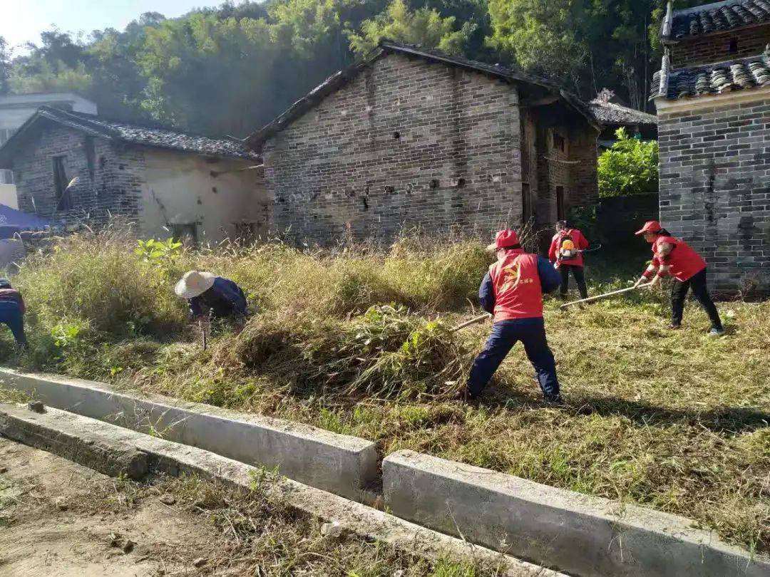 縣科協杏花鎮東和村,江口鎮封沙村縣委組織部羅董鎮思念村縣衛健局