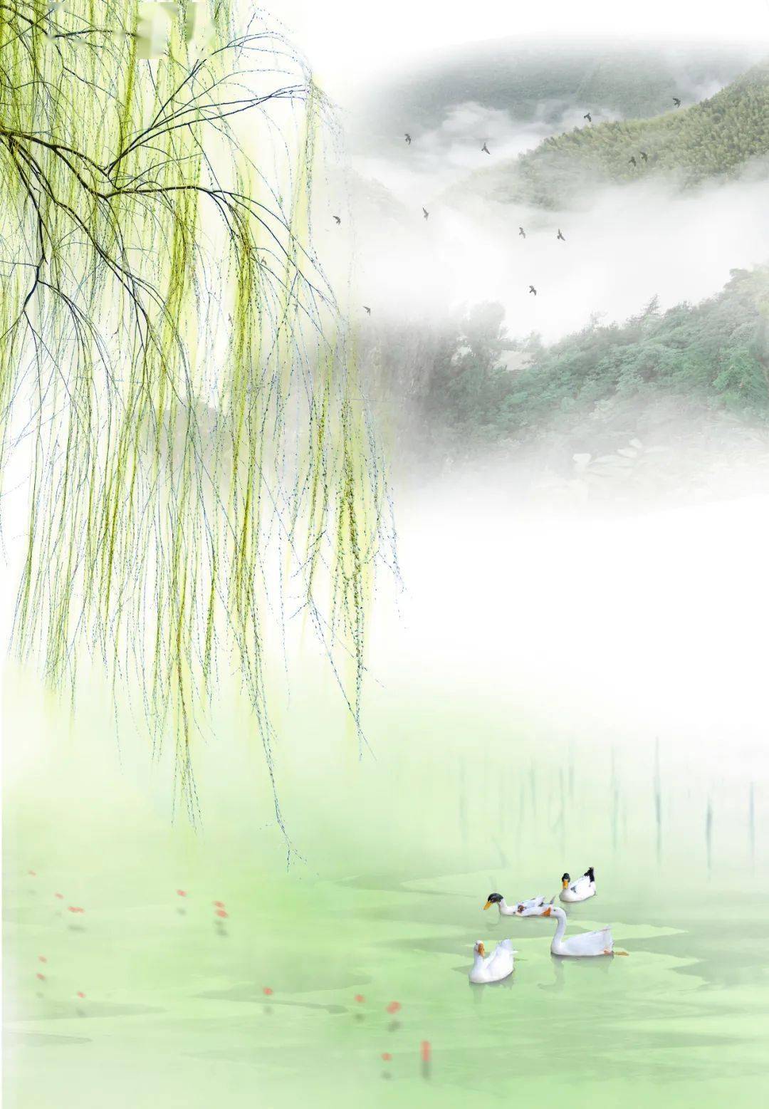 故乡草木,皆有情_杨柳依依