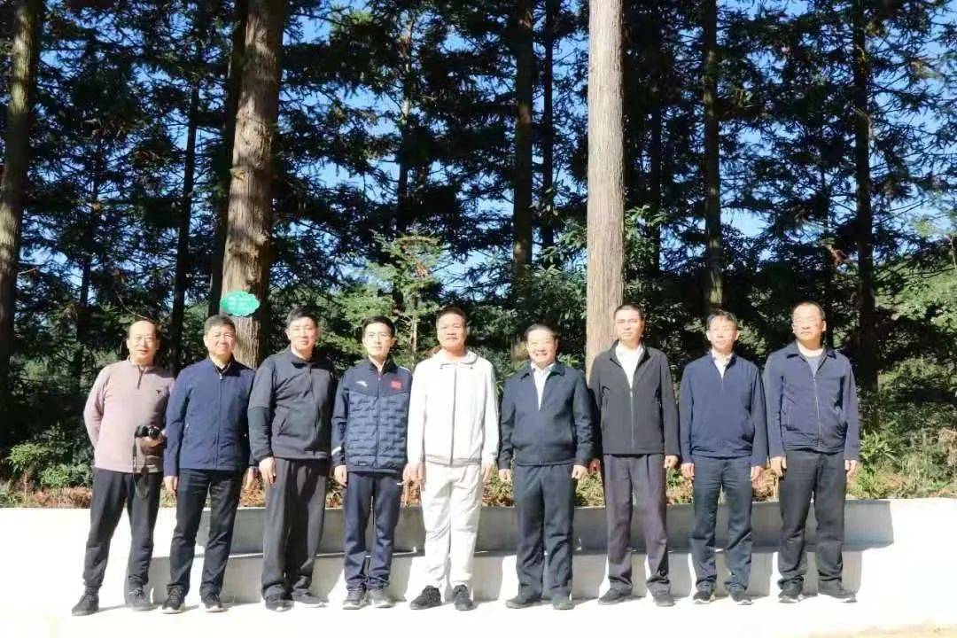 上杭县县长王波,市林业局局长张田华,副局长许志光等人陪同调研