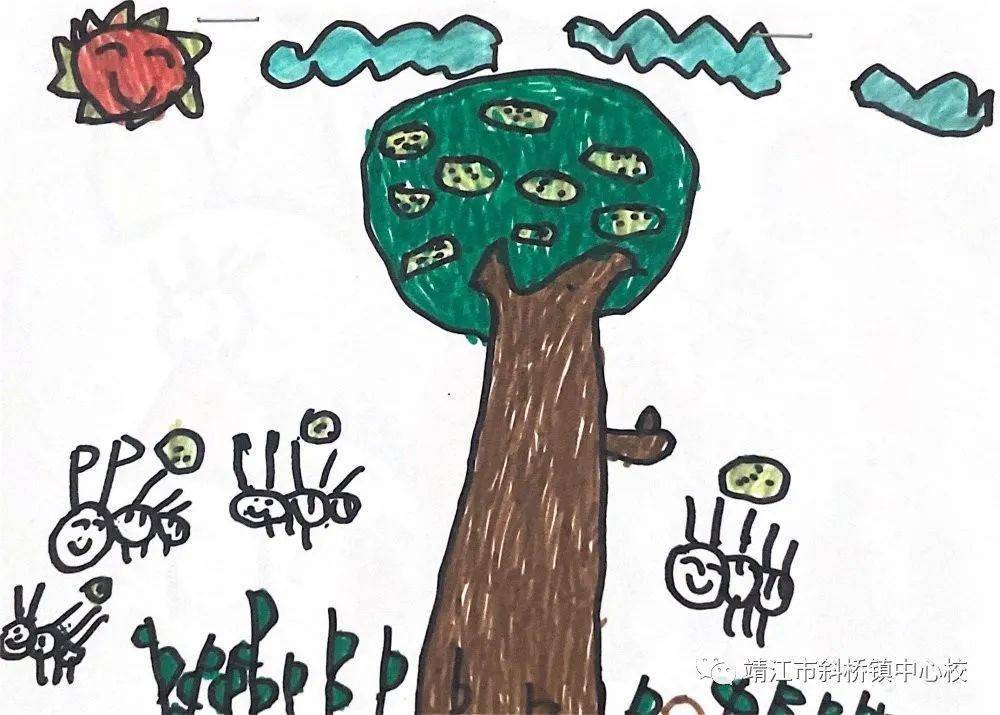 【兴阜幼儿园】课程故事——"橼"来是你_香橼树