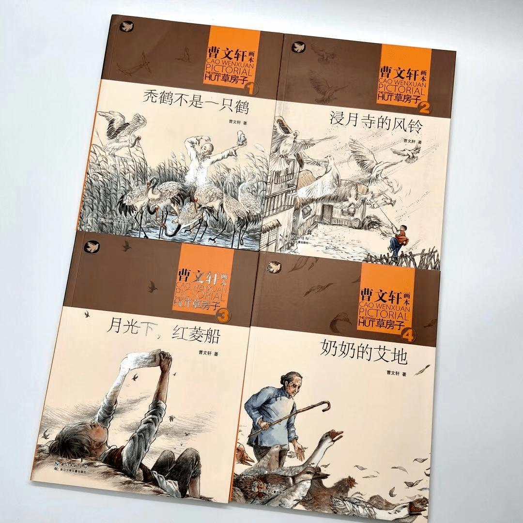 曹文轩画本9册