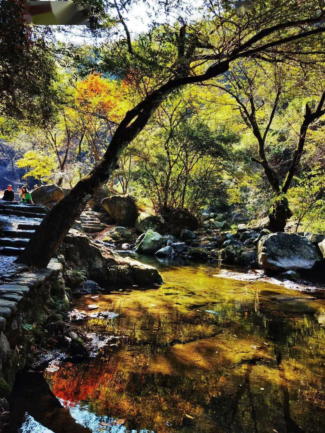 花园里秋意正浓时分在花园里泡上一壶茶赏尽芝林的山水秋色秋天把花