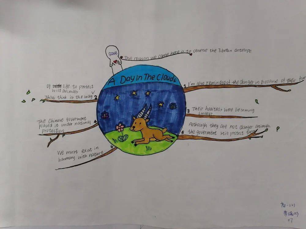 动物保护我们一起努力高一英语阅读节及思维导图绘制大赛