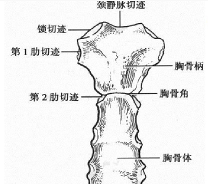 一文读懂片子上的管子和导线