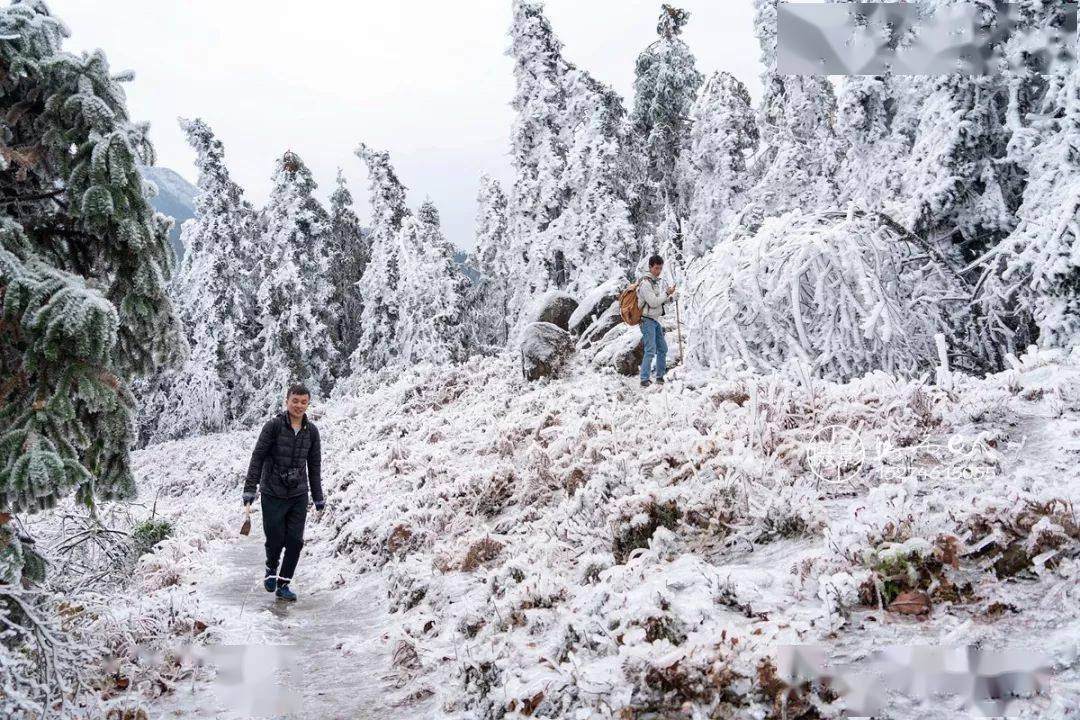 在往年的雪景视频中期待2020年东安的第一场雪