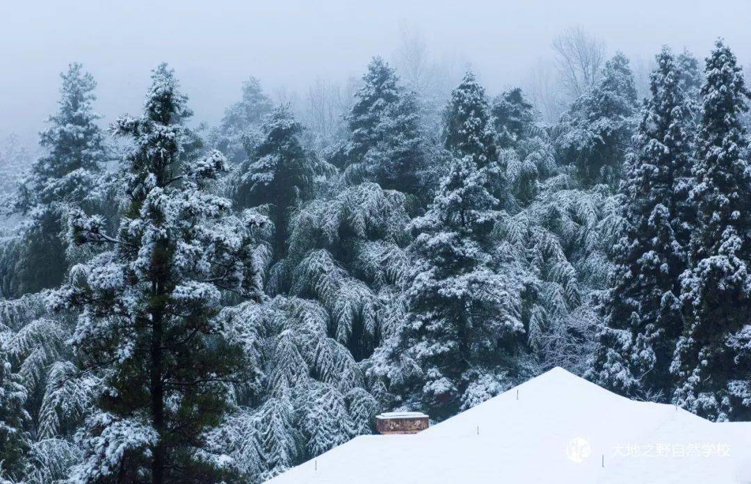 有人会说,前些日子,临安的清凉峰,天目山不都下雪了吗?