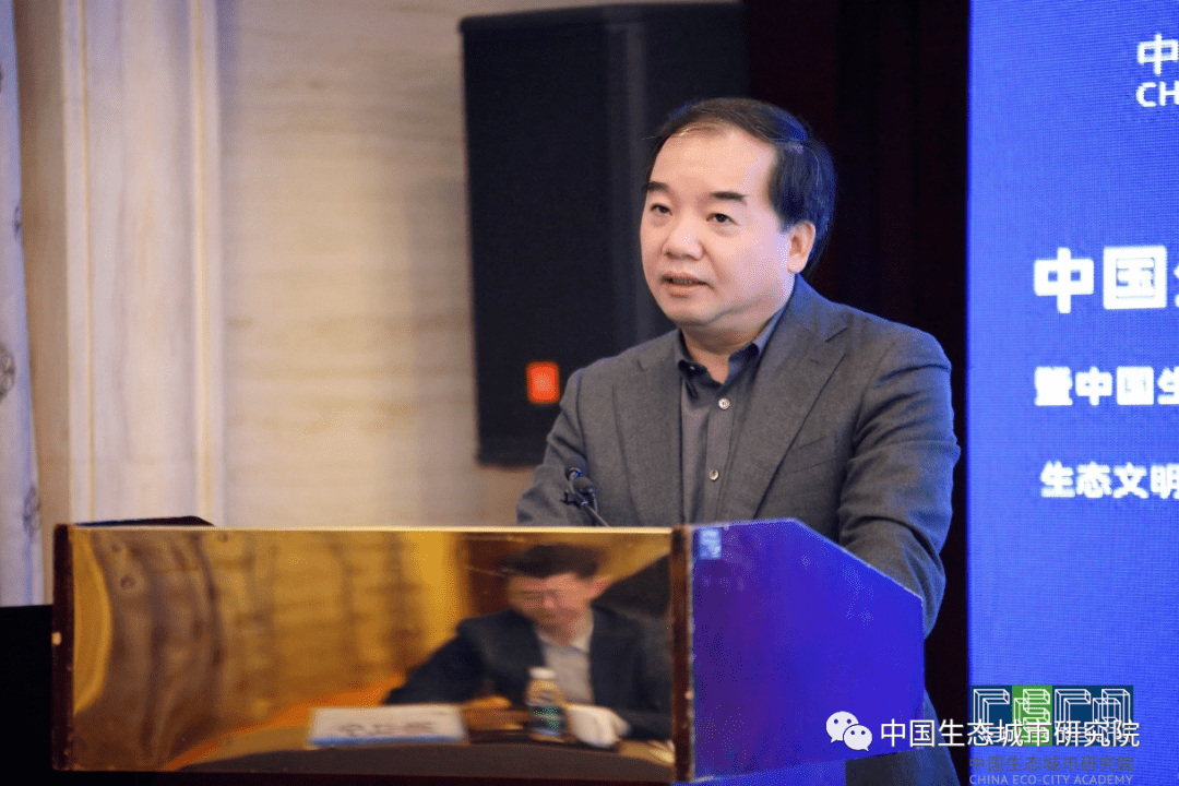 有中国城市科学研究会总工程师,中国生态城市研究院常务副院长沈磊