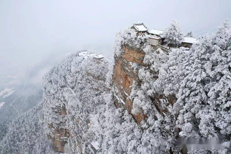 成县鸡峰山千坝牧场位于武都东南部,距离城区30公里,海拔在2100—3090