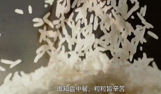 集美大学再被央视点名光盘rap好听