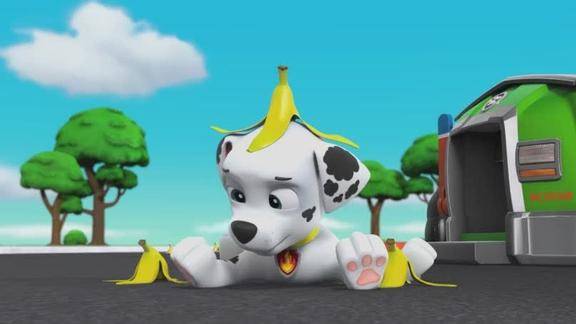 汪汪队立大功:毛毛踩到香蕉皮摔了个狗吃屎