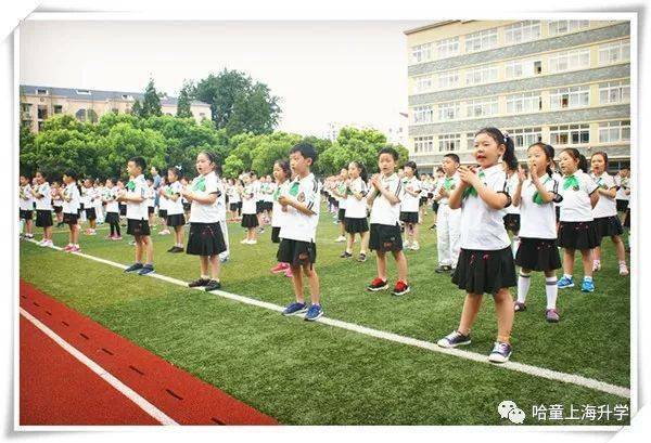 鸡娃6年进上外附小高知妈妈分享3年入读体验上外附小娃都是怎样学英语